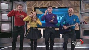 The Wiggles perform in the TMS Studio